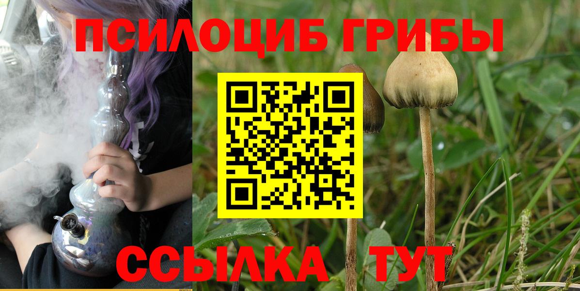 Галлюциногенные грибы MAGIC MUSHROOMS  Вход с VPN  Луга  Галлюциногенные грибы мицелий 